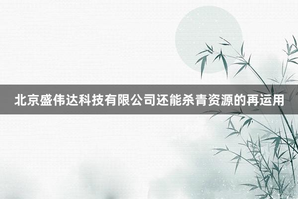 北京盛伟达科技有限公司还能杀青资源的再运用