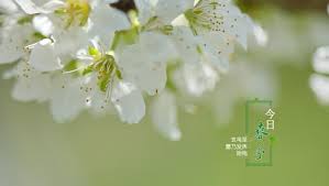 51免费黑料使用引导配图板块